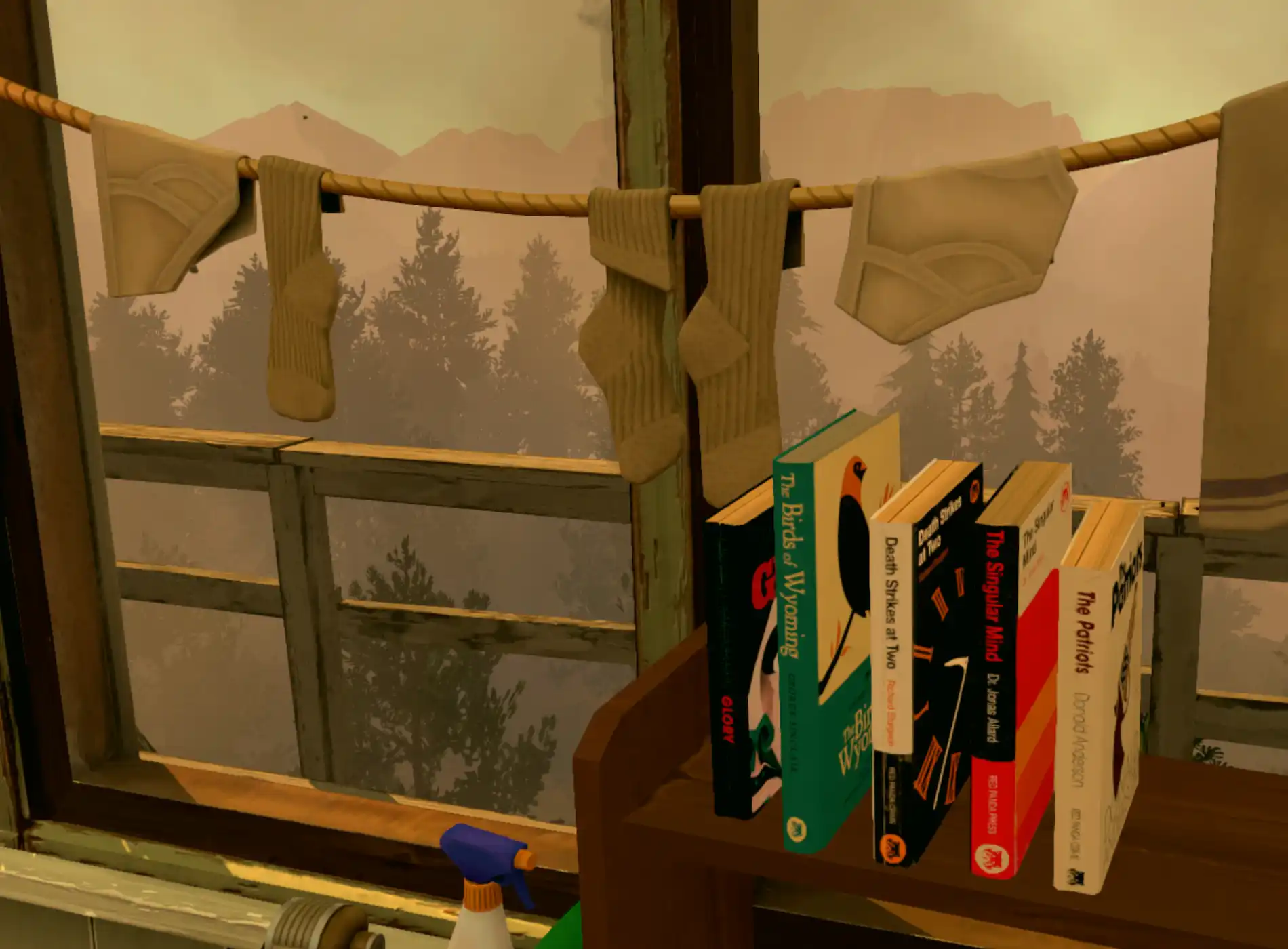 A collection of books and drying underwear in Henry's tower.