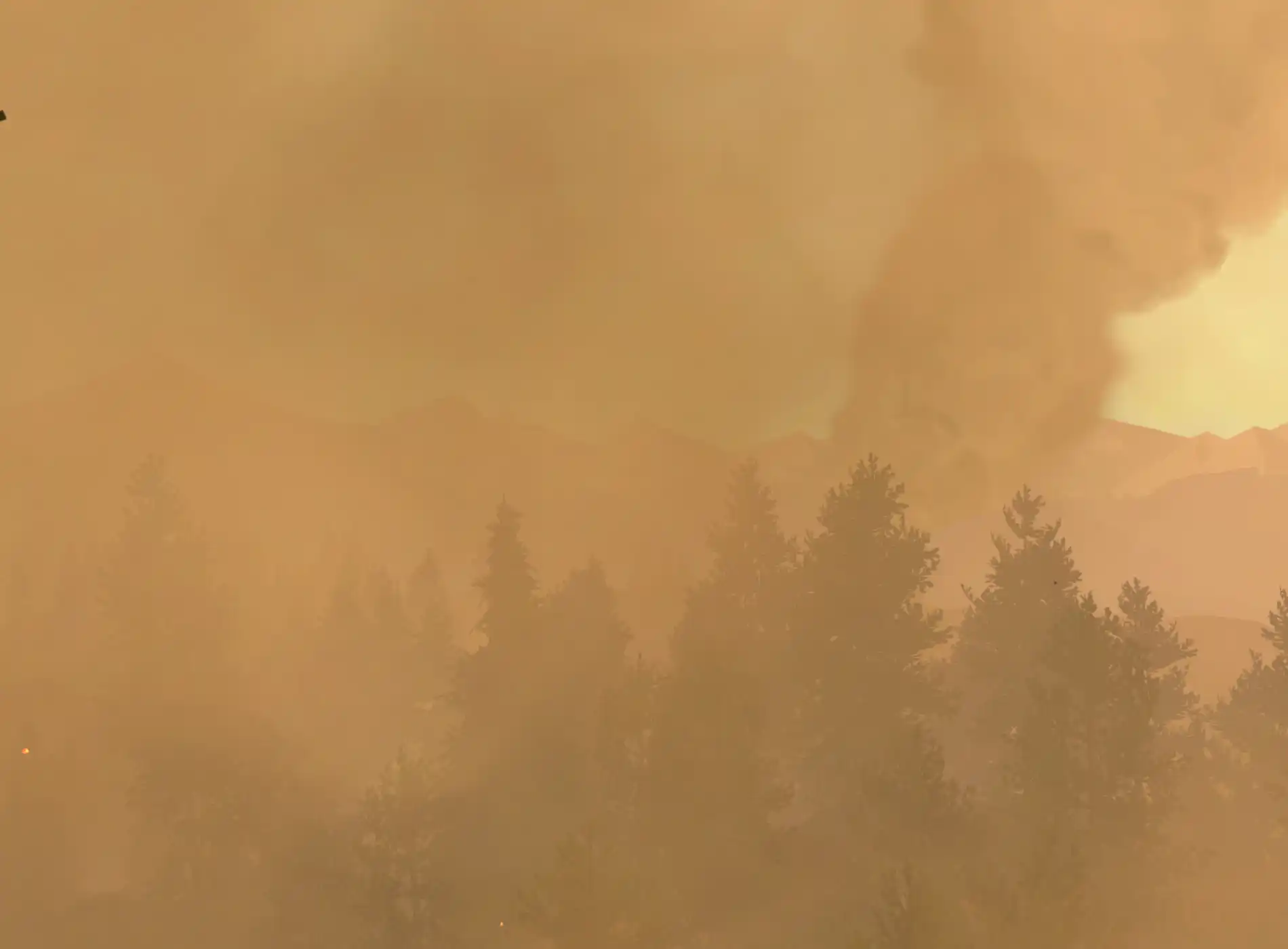 A view of the June fire in Firewatch.